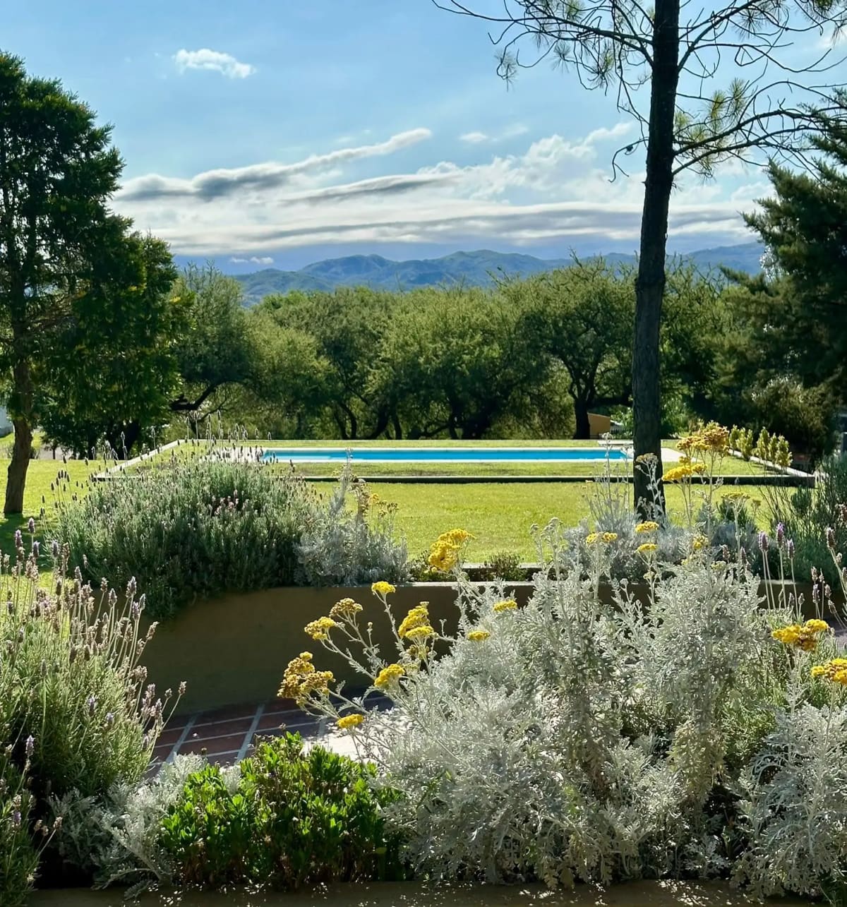 Cantero con lavandas y flores amarillas, el parque con la pileta y las Sierras Chicas de fondo